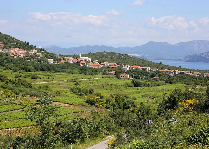 Holiday home House With A Parking Space Janjina, Peljesac - 24077